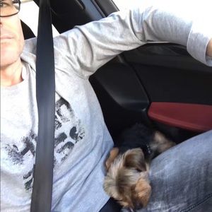 Meet your Posher, John